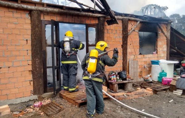 Dois filhotes de cachorro sao resgatados de ineêndio a residencia, pelos bombeiros de Itapoa 06