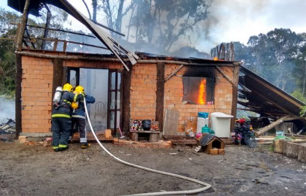 Dois filhotes de cachorro sao resgatados de ineêndio a residencia, pelos bombeiros de Itapoa 07