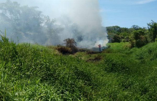 Bombeiros atendem ocorrencia de incendio em vegetacao em Itapoa 3