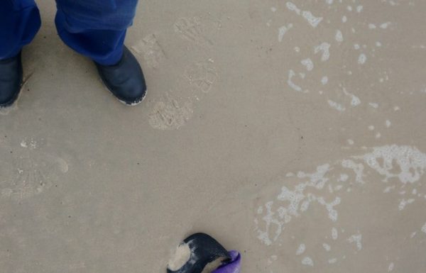 Corpo encontrado a beira mar na Barra do Sai 2