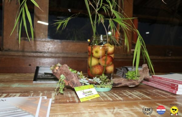 Itapoa passa a contar com novo espaco cultural 40