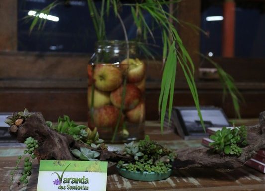 Itapoa passa a contar com novo espaco cultural 45