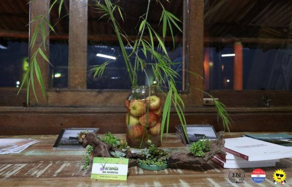 Itapoa passa a contar com novo espaco cultural 46