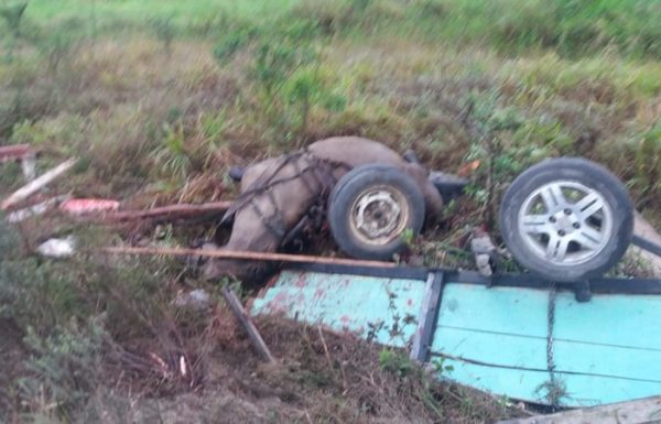 Cavalo morre e carroceiro fica ferido em acidente com caminhao na SC-416 em Itapoa 4