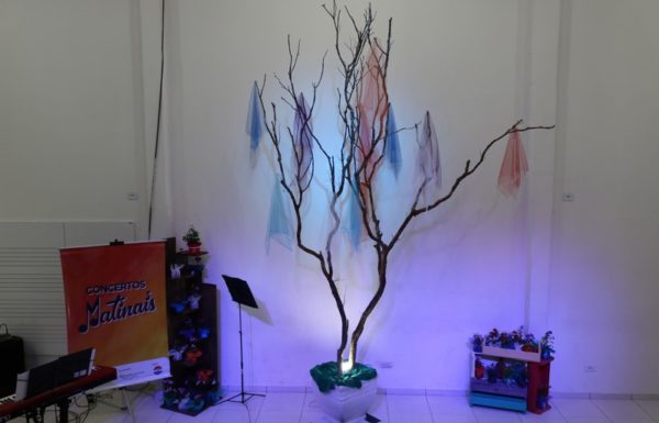 Publico recorde lota a Casa da Cultura para manha inesquecivel do projeto Concertos Matinais 01