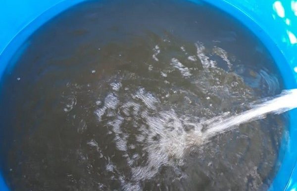 Alteracao na coloracao da agua tratada em Itapoa motivo de muita reclamacao dos usuarios 10
