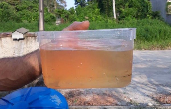 Alteracao na coloracao da agua tratada em Itapoa motivo de muita reclamacao dos usuarios 11