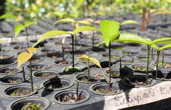 Porto Itapoa conquista Premio Fritz Muller 2019 2