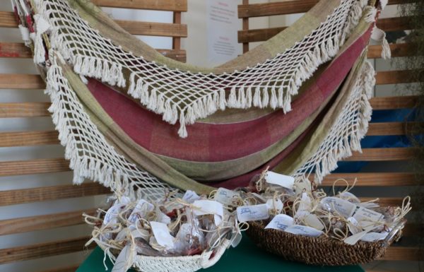 Concertos Matinais de Itapoa encerra temporada 2019 em grande estilo 11