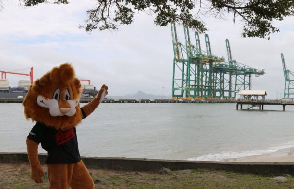 mais de 3 mil brinquedos sao distribuidos pelo projeto natal da magia 31