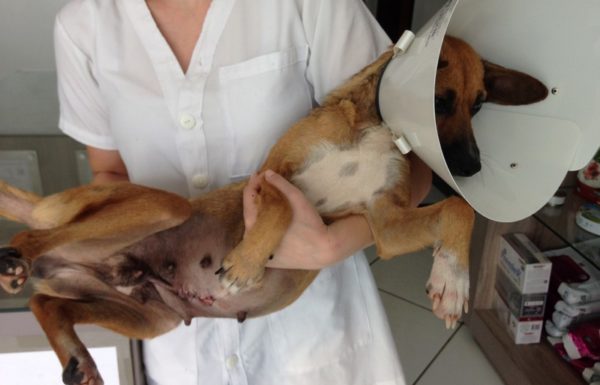 Vem ai a 1a Caorrida Itapoa 3