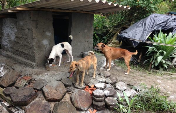 Vem ai a 1a Caorrida Itapoa 4