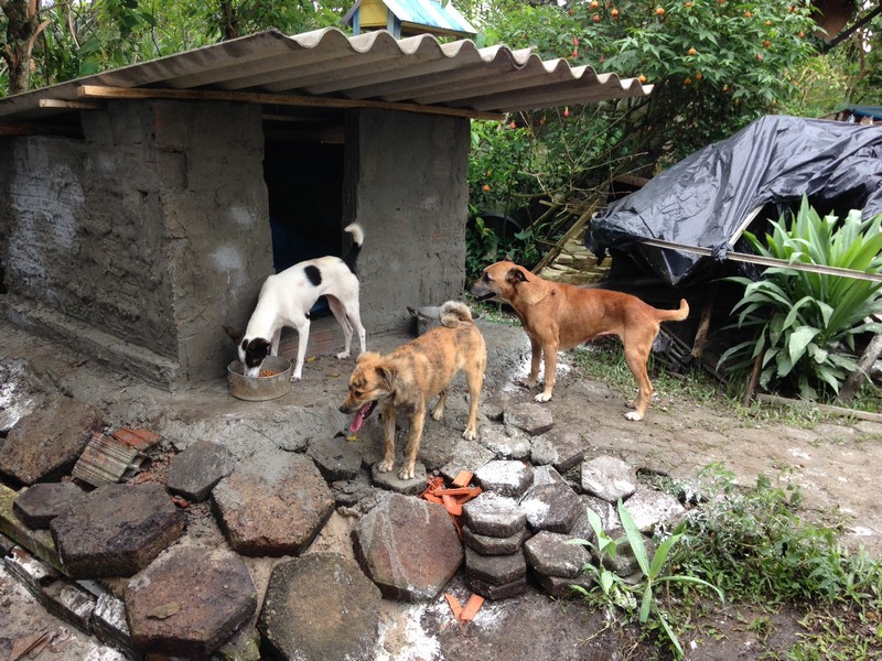 Vem ai a 1a Caorrida Itapoa 4