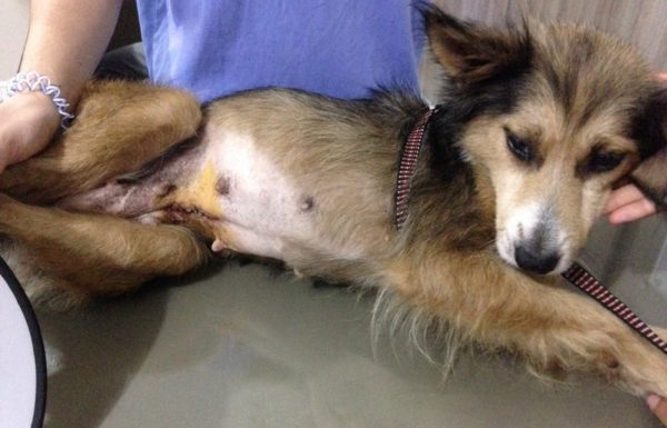 Vem ai a 1a Caorrida Itapoa 5