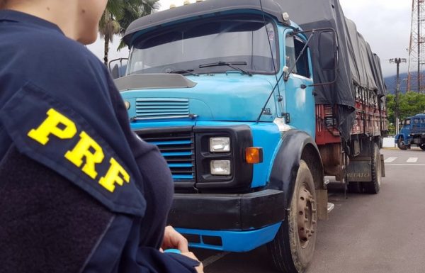 PRF recupera em Garuva carga de tilápia roubada 1