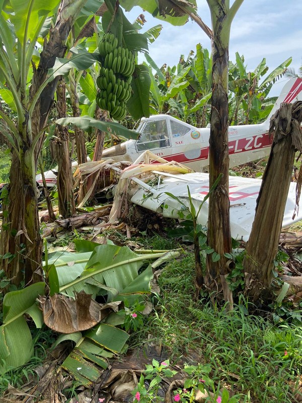 Piloto passa bem apos aviao de pequeno porte cair em Garuva