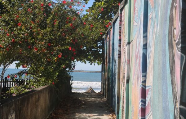 Itapoa 31 anos - Solidariedade o maior presente deste aniversario 34