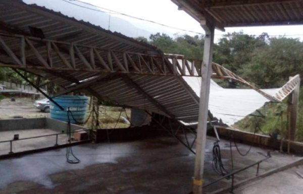 Forte vendaval destelha casas e derruba arvores em Garuva