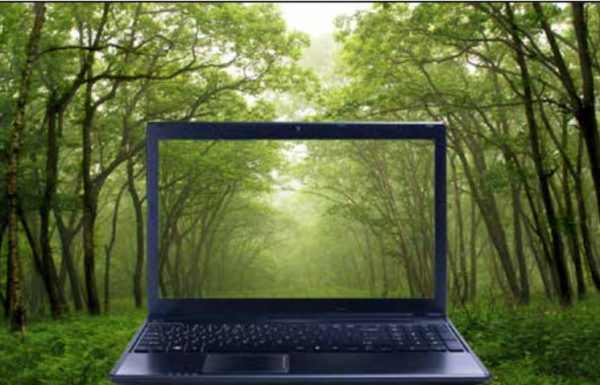 Meio Ambiente agora tambem esta online