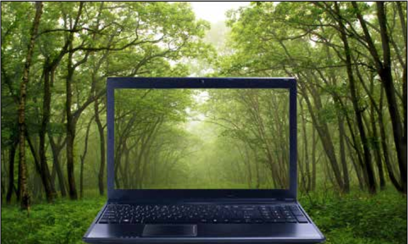 Meio Ambiente agora tambem esta online