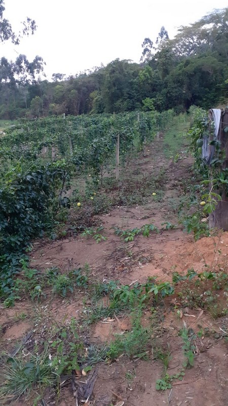 O que vem da nossa terra - Itapoa - Carla e Denilson - Arquivo Pessoal 01