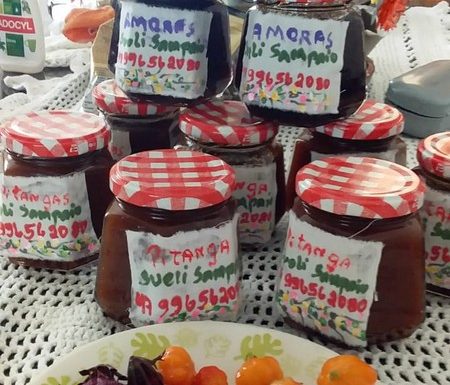 O que vem da nossa terra - Itapoa - Sueli Sampaio Firmino - Arquivo Pessoal 02