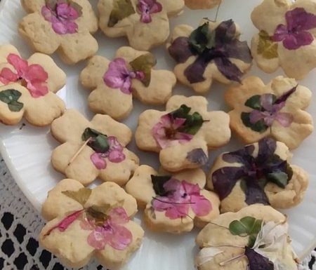 O que vem da nossa terra - Itapoa - Sueli Sampaio Firmino - Arquivo Pessoal 05