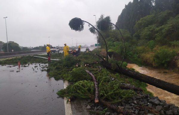 Governo do Estado de SC decreta calamidade publica por danos causados por evento climatico 01