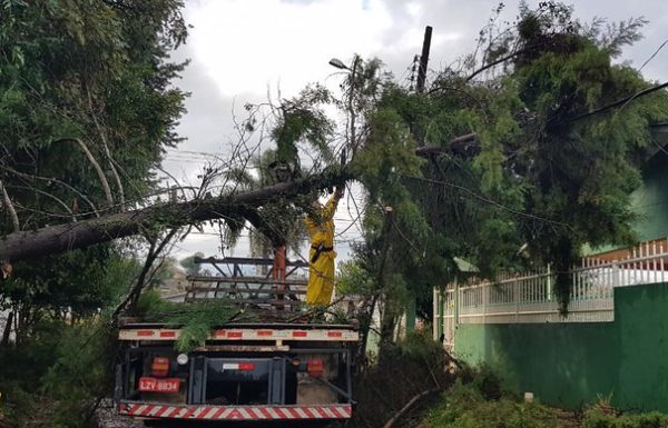 Governo do Estado de SC decreta calamidade publica por danos causados por evento climatico 06