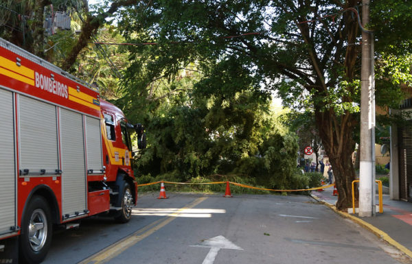 Governo do Estado de SC decreta calamidade publica por danos causados por evento climatico 07