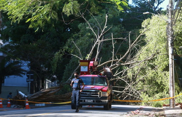 Governo do Estado de SC decreta calamidade publica por danos causados por evento climatico 09