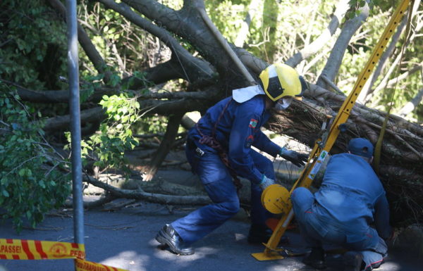 Governo do Estado de SC decreta calamidade publica por danos causados por evento climatico 10