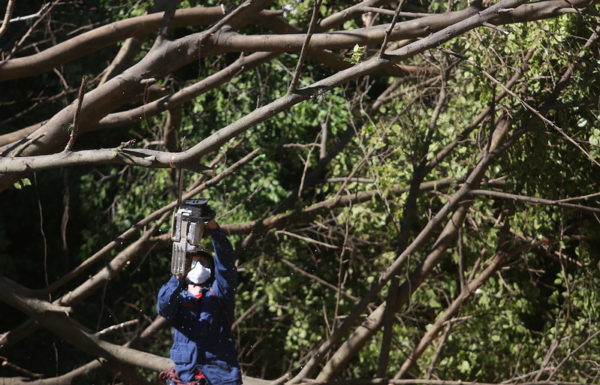 Governo do Estado de SC decreta calamidade publica por danos causados por evento climatico 14