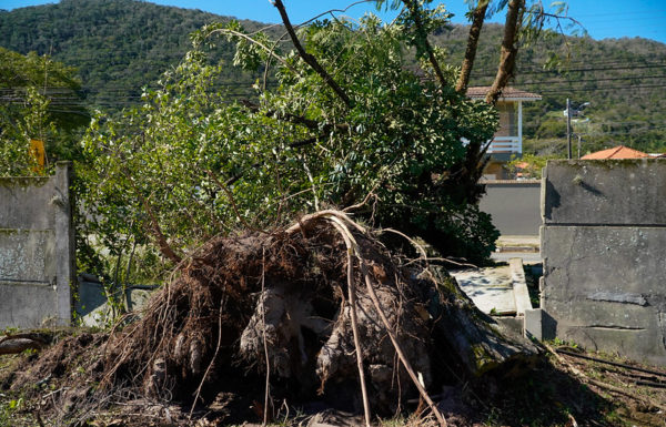 Governo do Estado de SC decreta calamidade publica por danos causados por evento climatico 15
