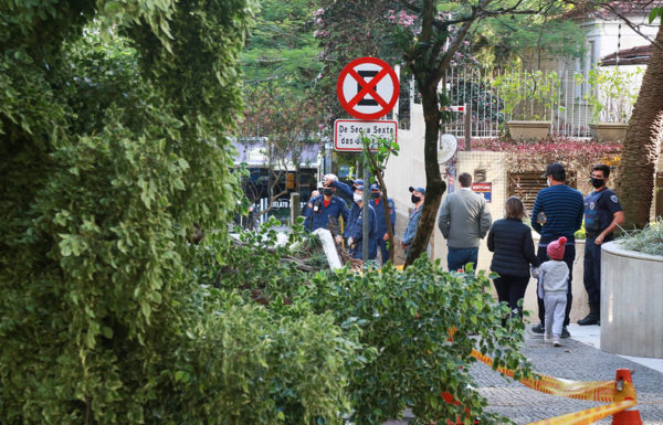 Governo do Estado de SC decreta calamidade publica por danos causados por evento climatico 17