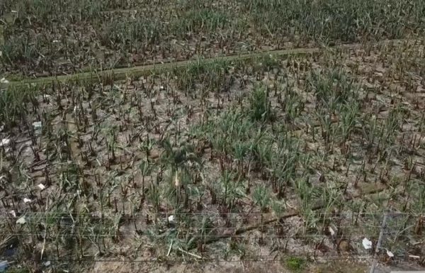 Itens de ajuda humanitaria sao entregues em diversas cidades de SC, inclusive Garuva 22