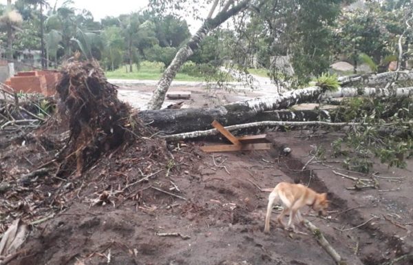 Vendaval causa transtornos e Itapoa declara Situacao de Emergencia nas areas afetadas 1 - FOTO Grupos de WhatsApp - Divulgacao