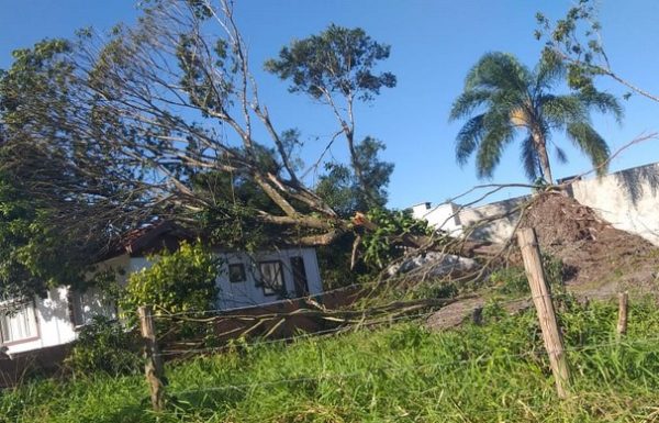 Vendaval causa transtornos e Itapoa declara Situacao de Emergencia nas areas afetadas 1 - FOTO Juceli Cavalheiro - Divulgacao