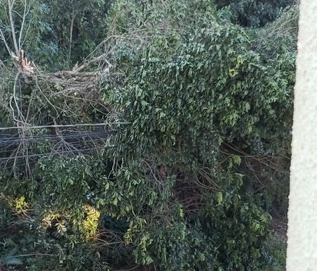 Vendaval causa transtornos e Itapoa declara Situacao de Emergencia nas areas afetadas 10 - FOTO Grupos de WhatsApp - Divulgacao