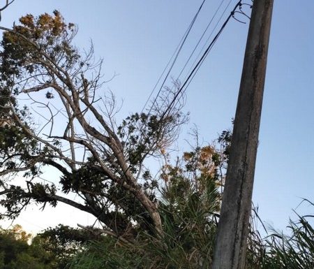 Vendaval causa transtornos e Itapoa declara Situacao de Emergencia nas areas afetadas 11 - FOTO Grupos de WhatsApp - Divulgacao