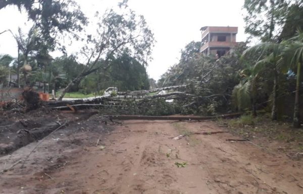 Vendaval causa transtornos e Itapoa declara Situacao de Emergencia nas areas afetadas 2 - FOTO Grupos de WhatsApp - Divulgacao