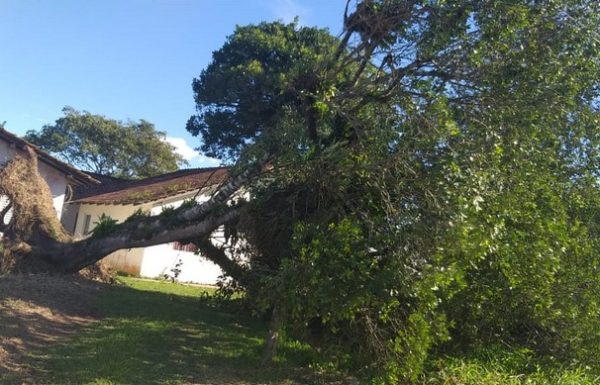 Vendaval causa transtornos e Itapoa declara Situacao de Emergencia nas areas afetadas 2 - FOTO Juceli Cavalheiro - Divulgacao