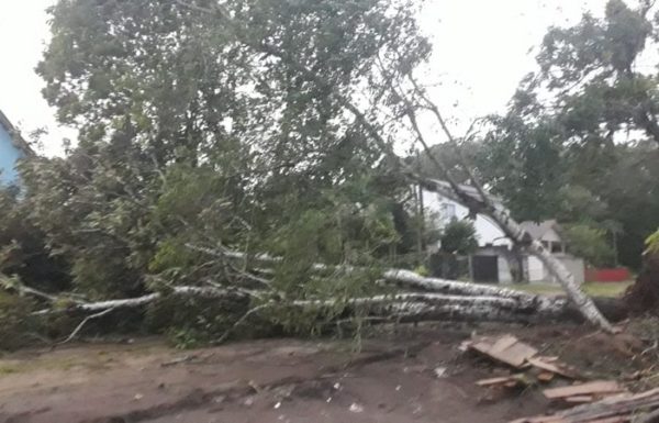 Vendaval causa transtornos e Itapoa declara Situacao de Emergencia nas areas afetadas 3 - FOTO Juceli Cavalheiro - Divulgacao