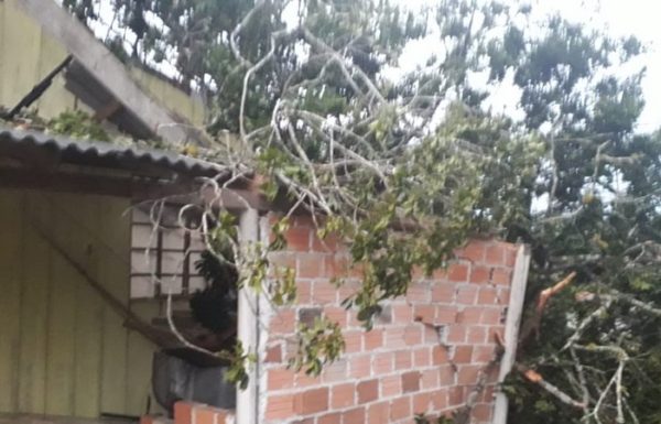 Vendaval causa transtornos e Itapoa declara Situacao de Emergencia nas areas afetadas 4 - FOTO Grupos de WhatsApp - Divulgacao