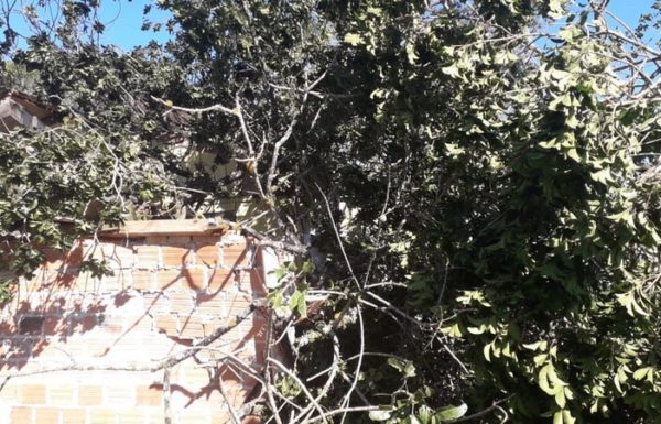 Vendaval causa transtornos e Itapoa declara Situacao de Emergencia nas areas afetadas 6 - FOTO Grupos de WhatsApp - Divulgacao