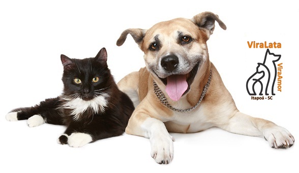 Associacao ViraLata ViraAmor