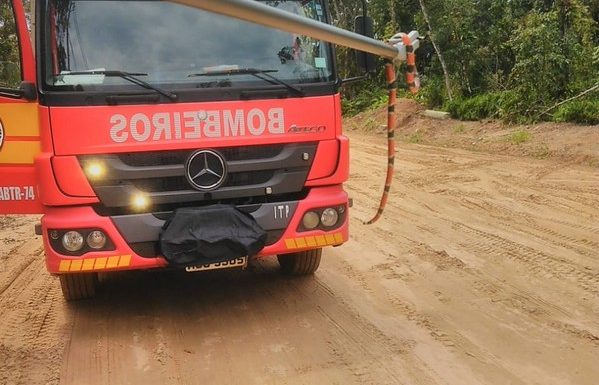Cobra coral resgatada em Itapoa