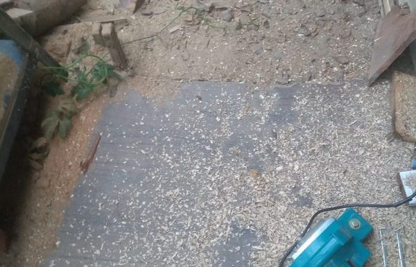 13 ÚNIC -02- Cadeirante do Pontal - FOTO arquivo pessoal - Divulgação