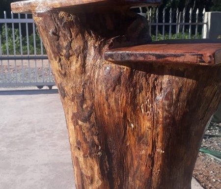 13 ÚNIC -16- Cadeirante do Pontal - FOTO arquivo pessoal - Divulgação