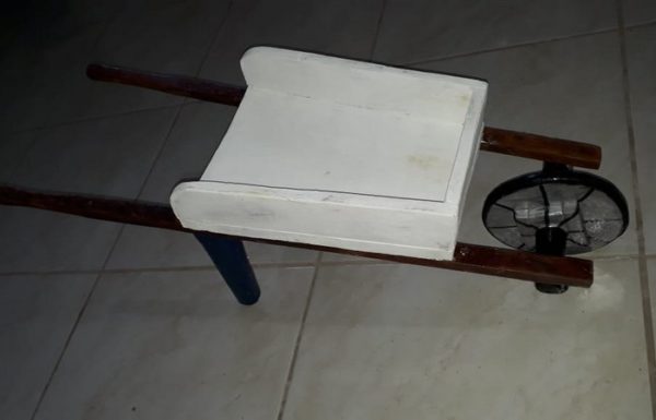 13 ÚNIC -17- Cadeirante do Pontal - FOTO arquivo pessoal - Divulgação